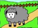 sheep1.jpg